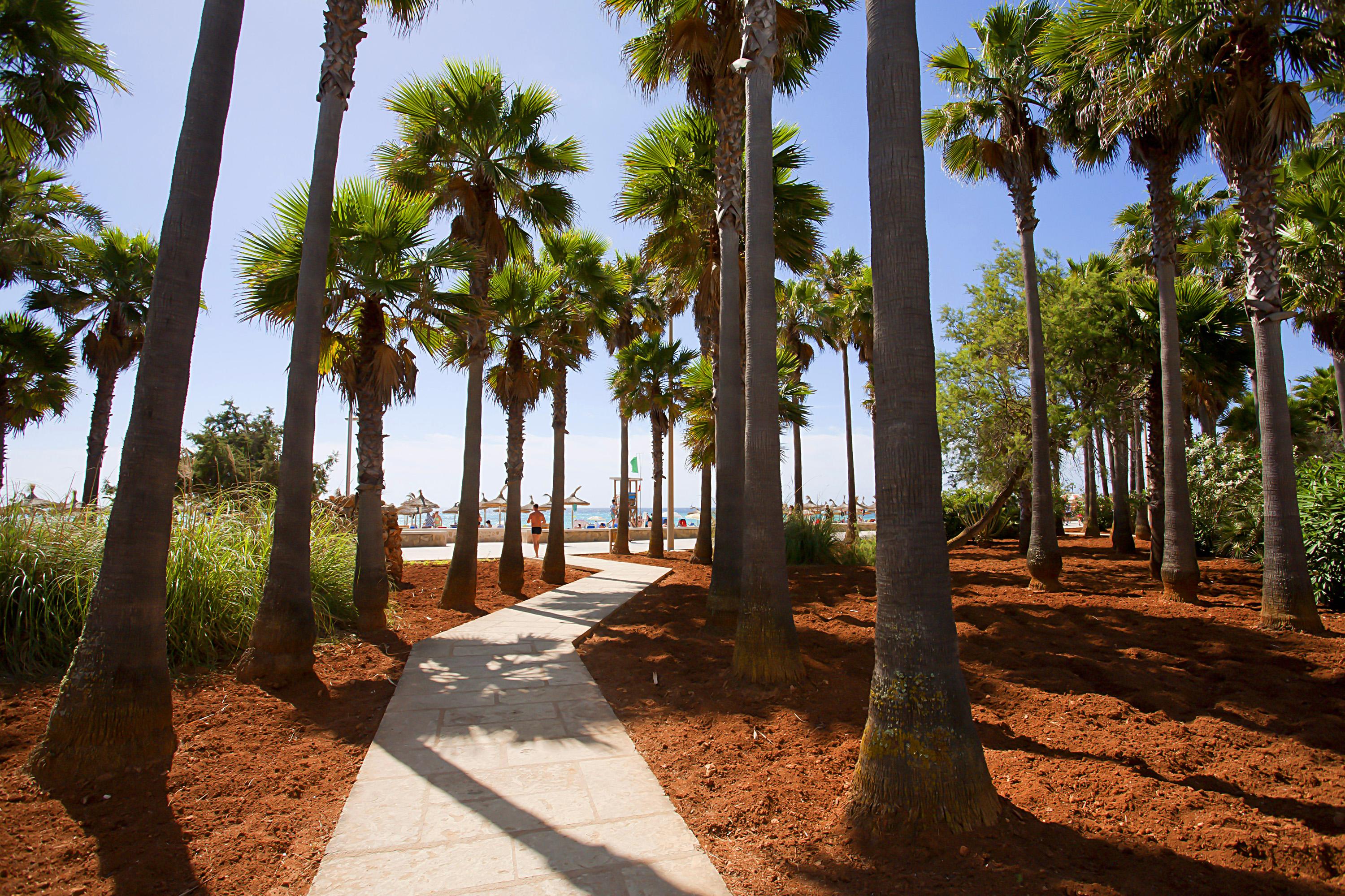 Hipotels Mediterraneo Club Sa Coma  Luaran gambar